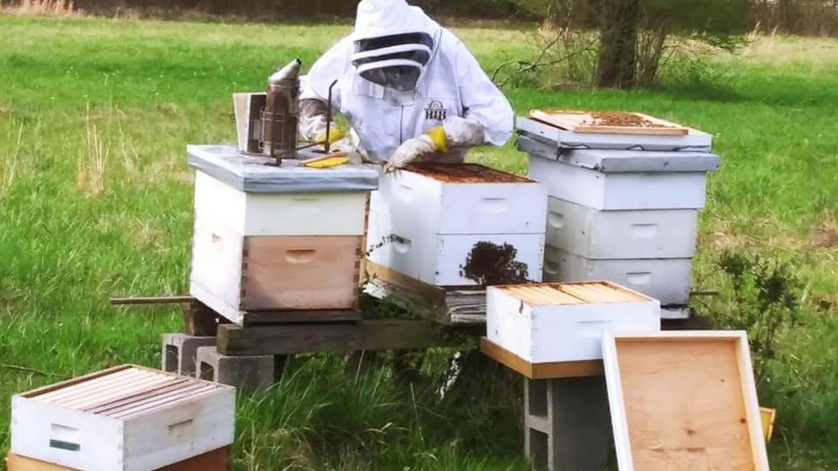 Beekeeping requires planning, patience